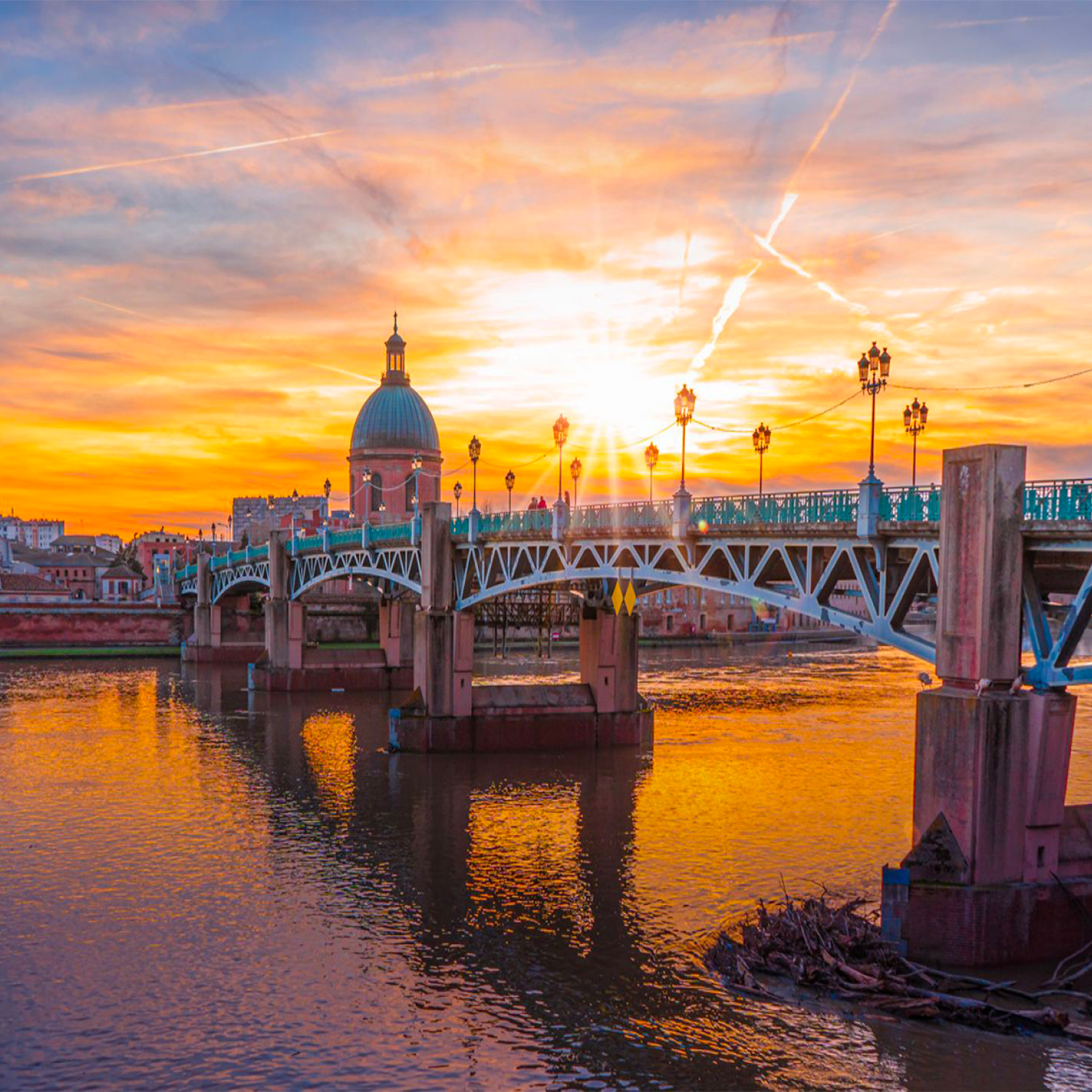 Agence marketing Elafi à Toulouse