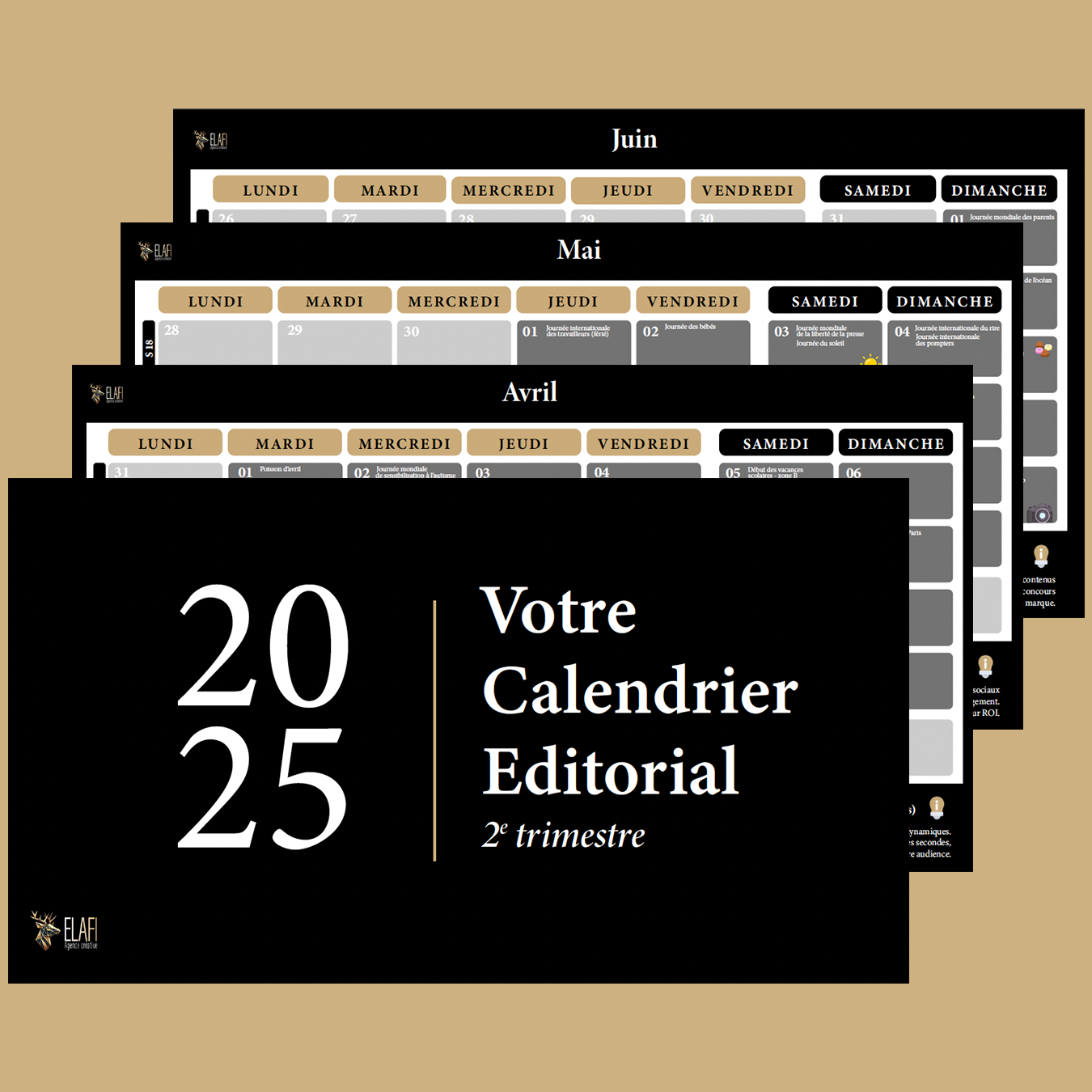 calendrier éditorial 2025